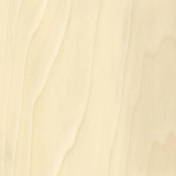 POPLAR
